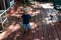 Picture 2698